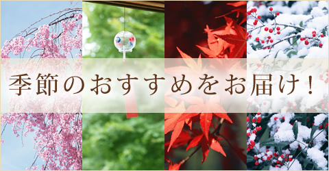 季節のおすすめをお届け！